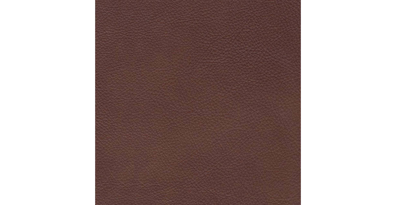 Leather Swatch