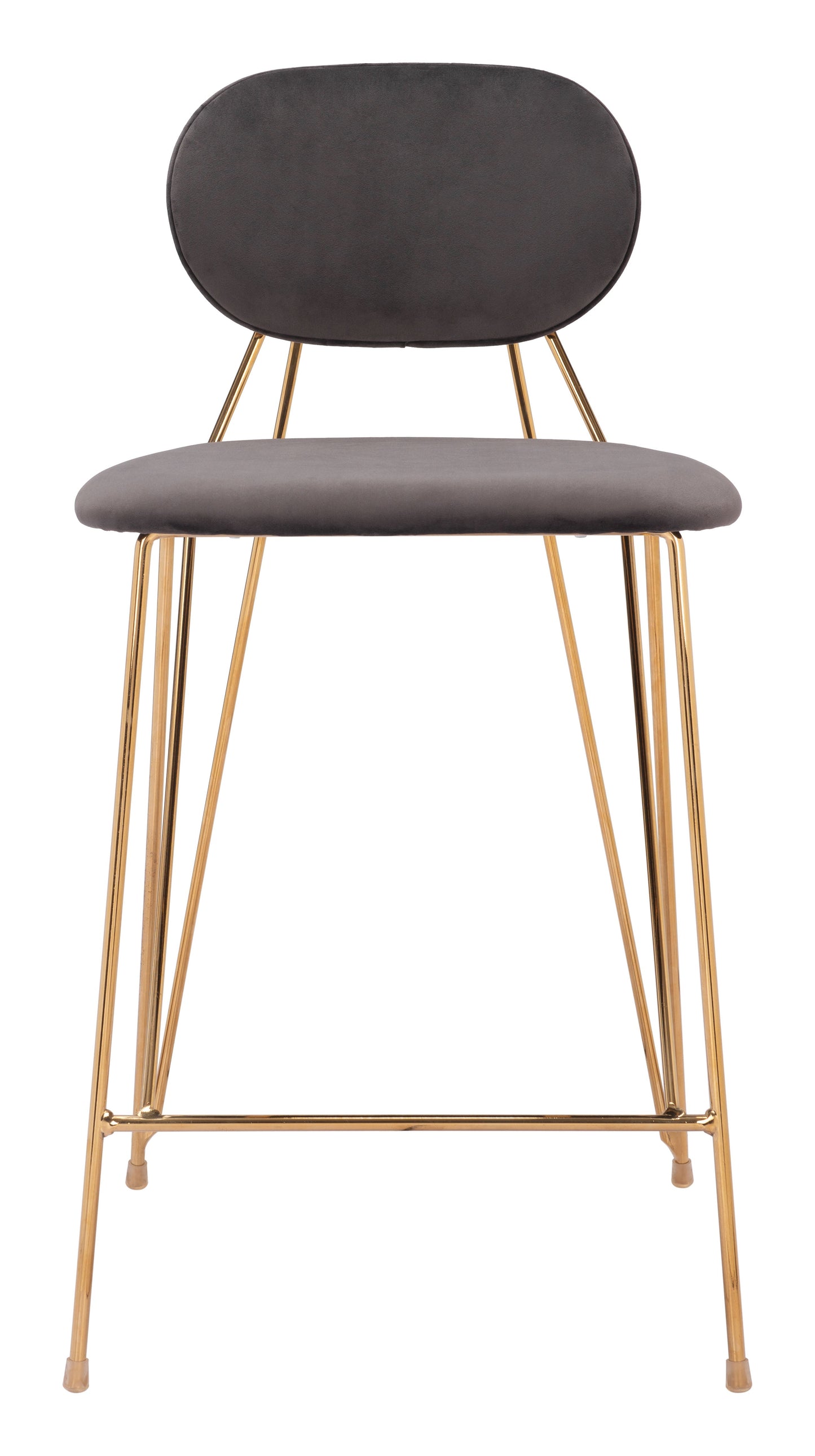 Georges Counter Stool (Set of 2) Gray & Gold