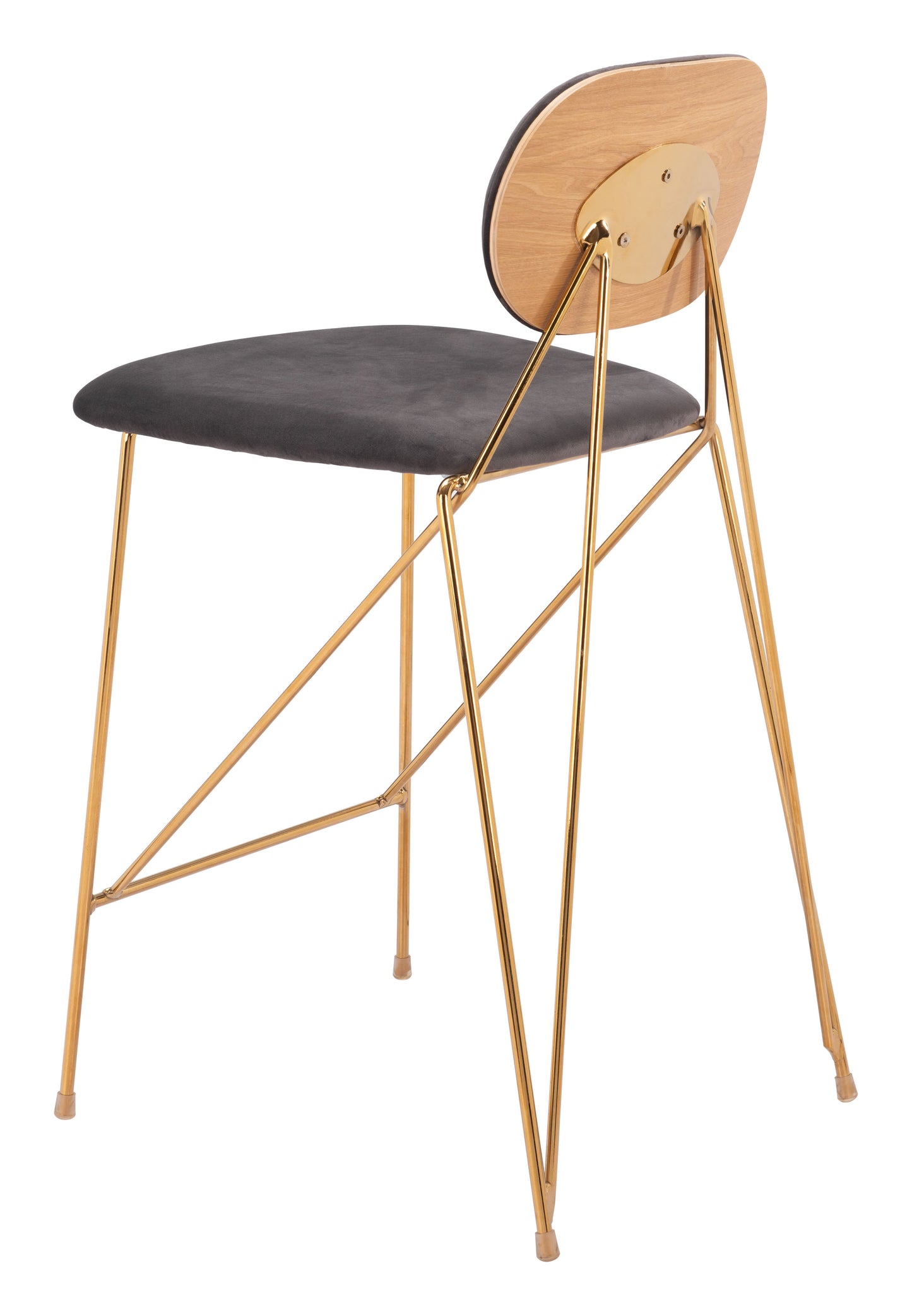 Georges Counter Stool (Set of 2) Gray & Gold