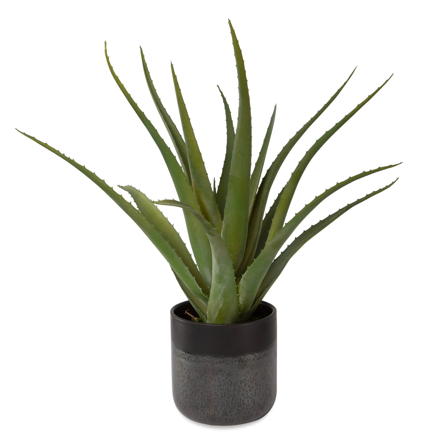 Uttermost Tucson Aloe Planter