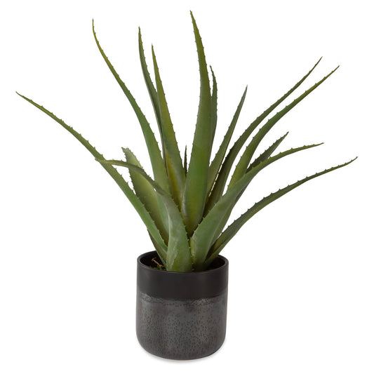 Uttermost Tucson Aloe Planter