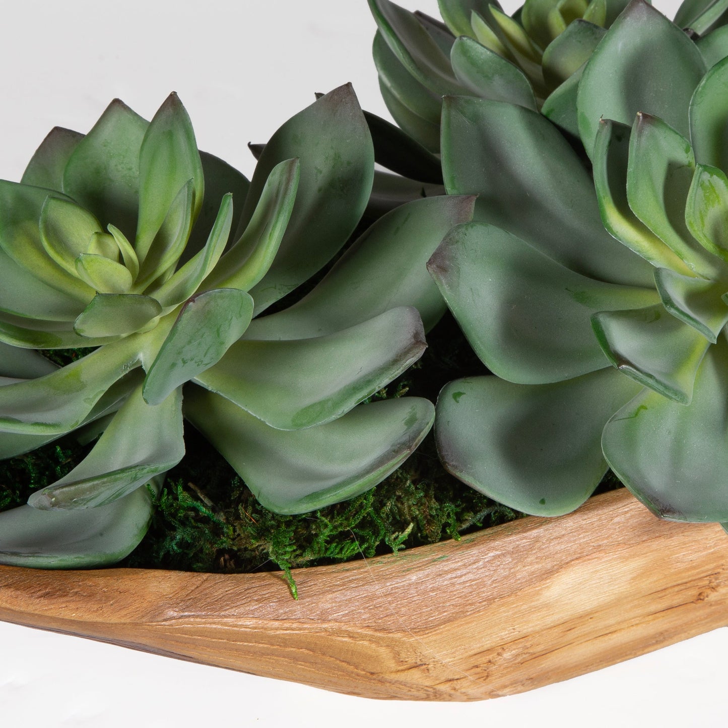 Uttermost Yuma Succulent Centerpiece