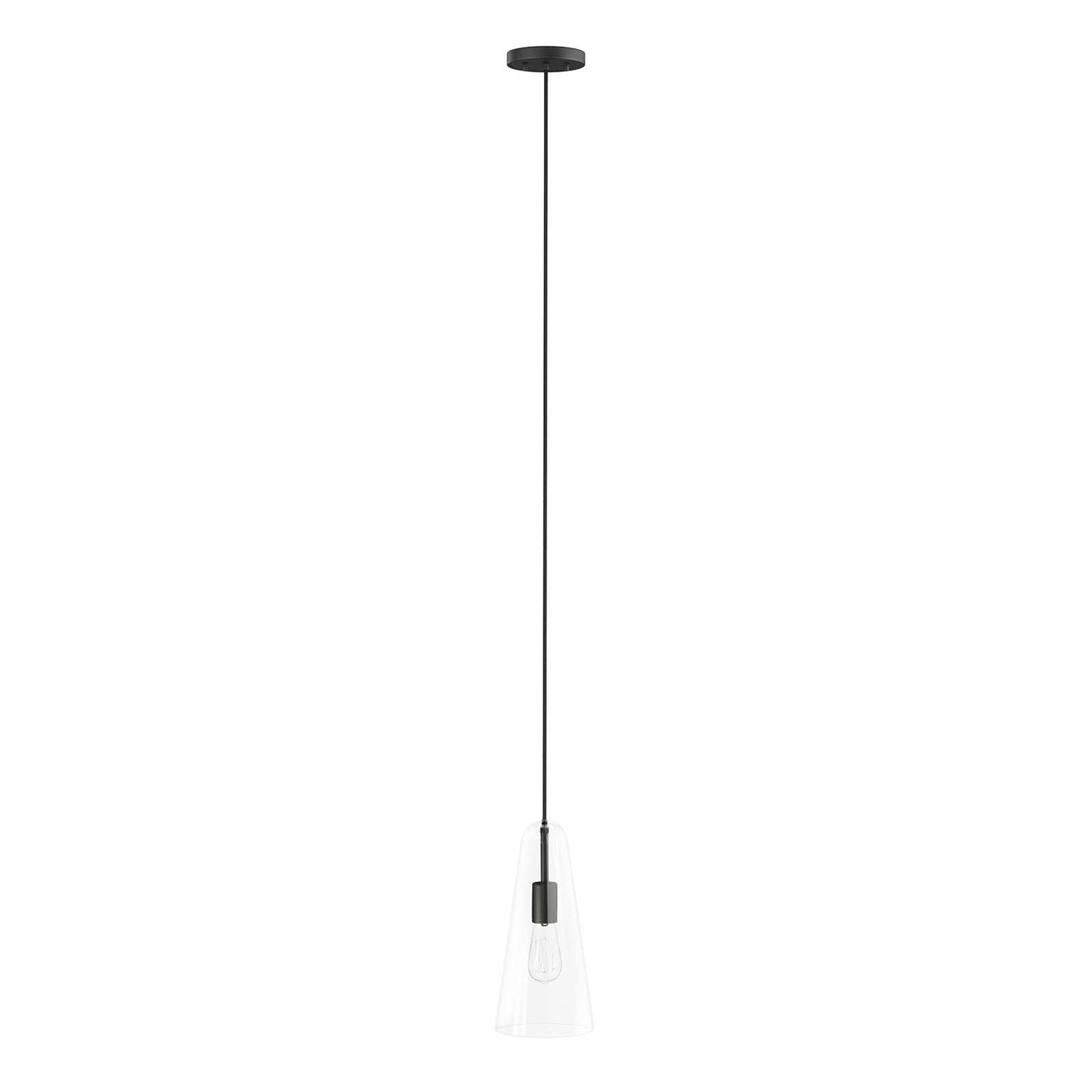 Beacon 1-Light Pendant Light Clear Black EEI-5644-CLR-BLK