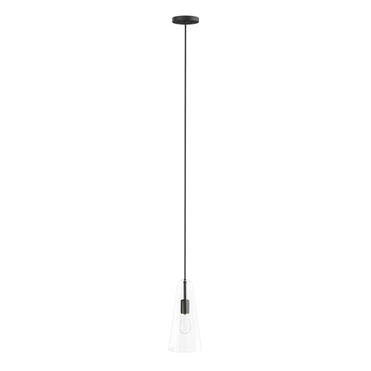 Beacon 1-Light Pendant Light Clear Black EEI-5644-CLR-BLK