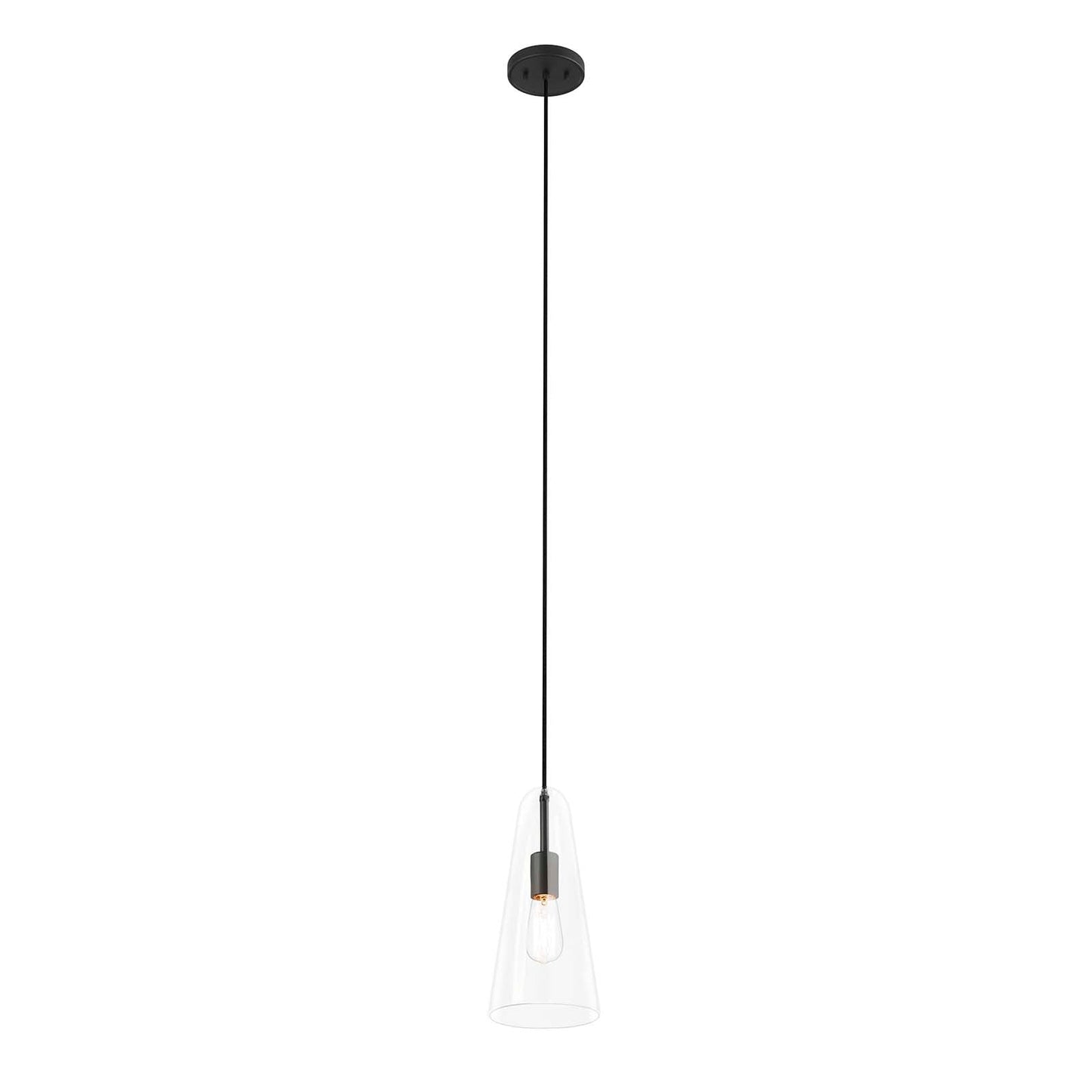 Beacon 1-Light Pendant Light Clear Black EEI-5644-CLR-BLK