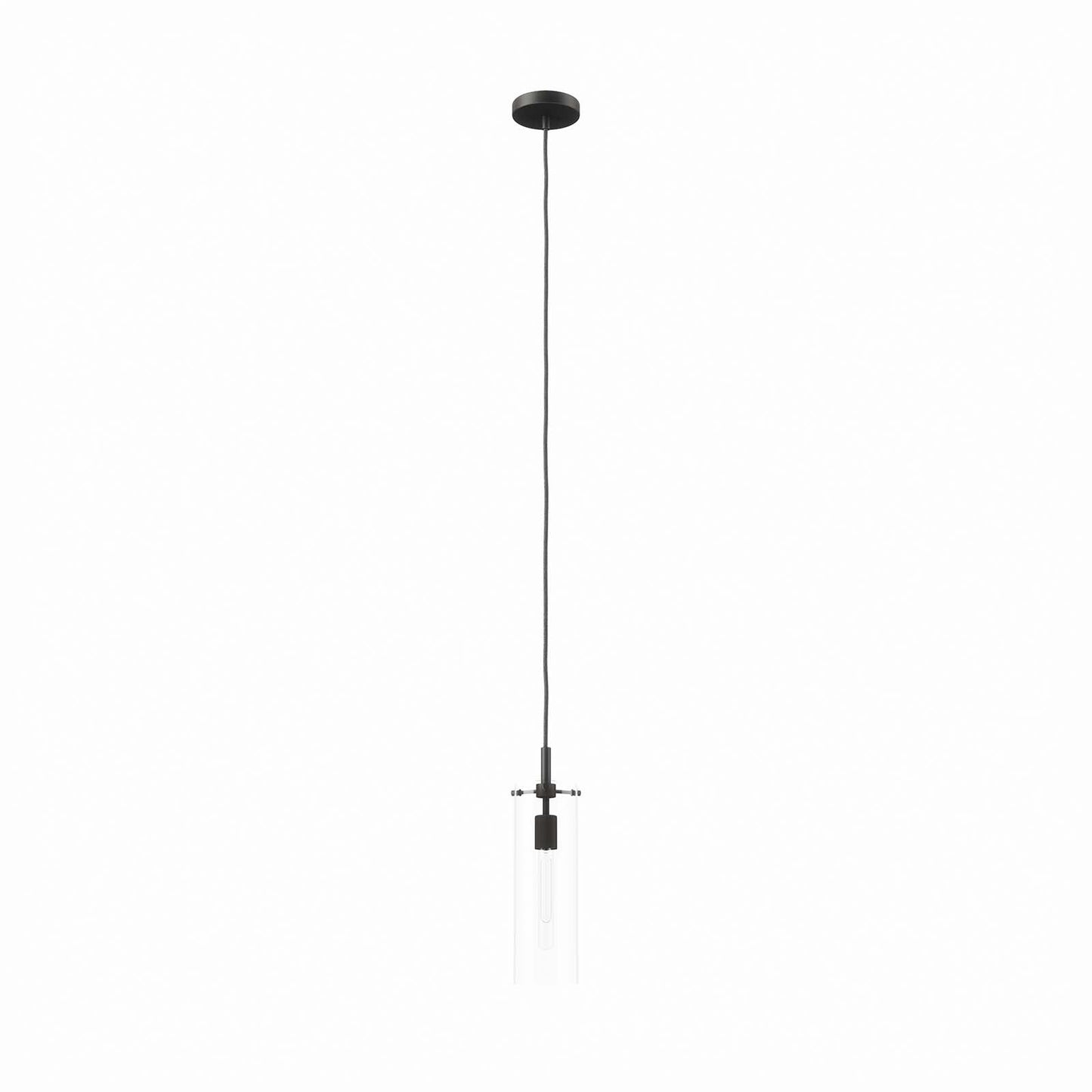 Skylark Pendant Light Clear Black EEI-5652-CLR-BLK