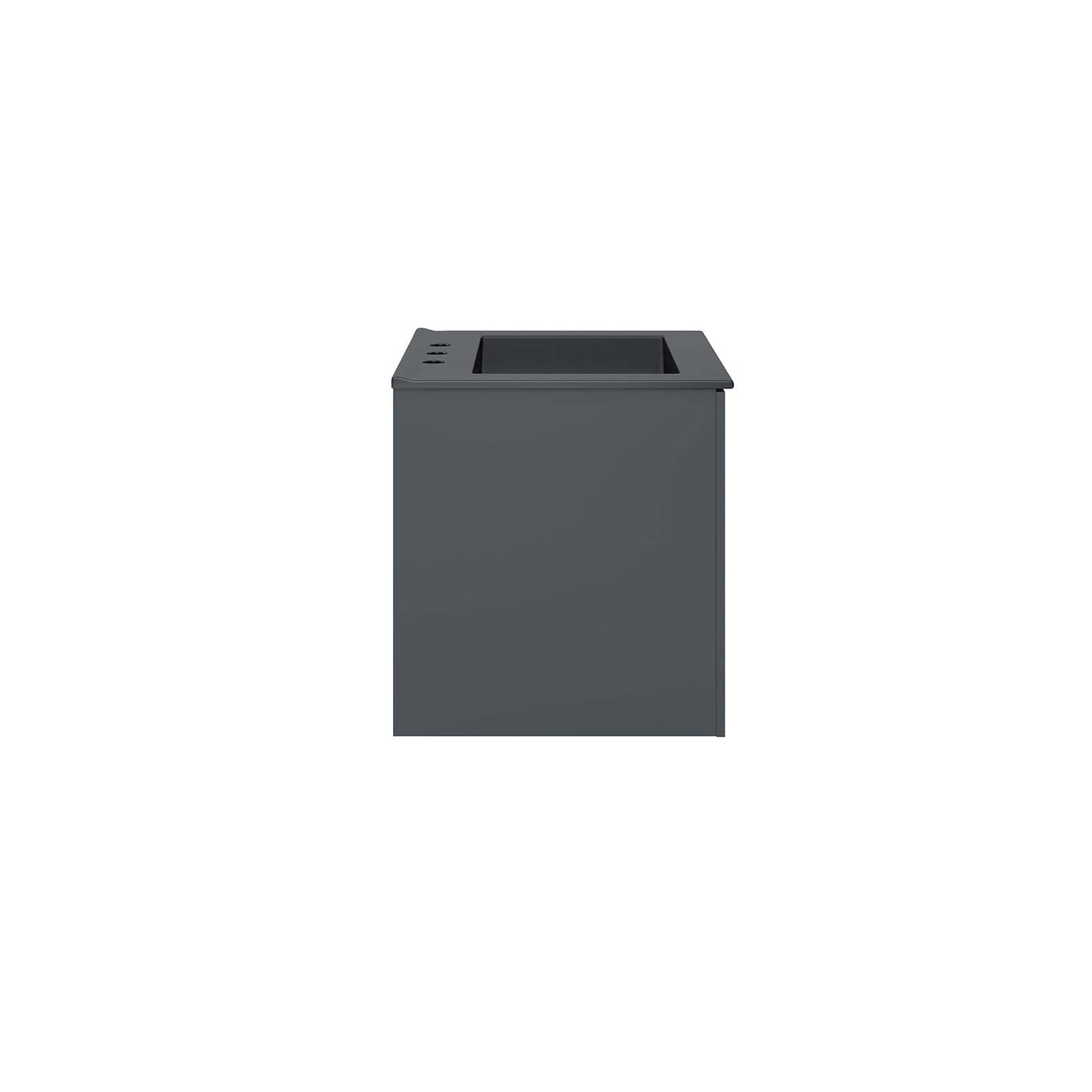 Vitality 24" Bathroom Vanity Gray Black EEI-5782-GRY-BLK