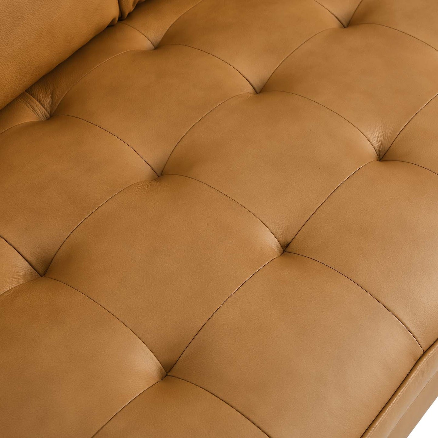 Valour Leather Loveseat Tan EEI-5870-TAN