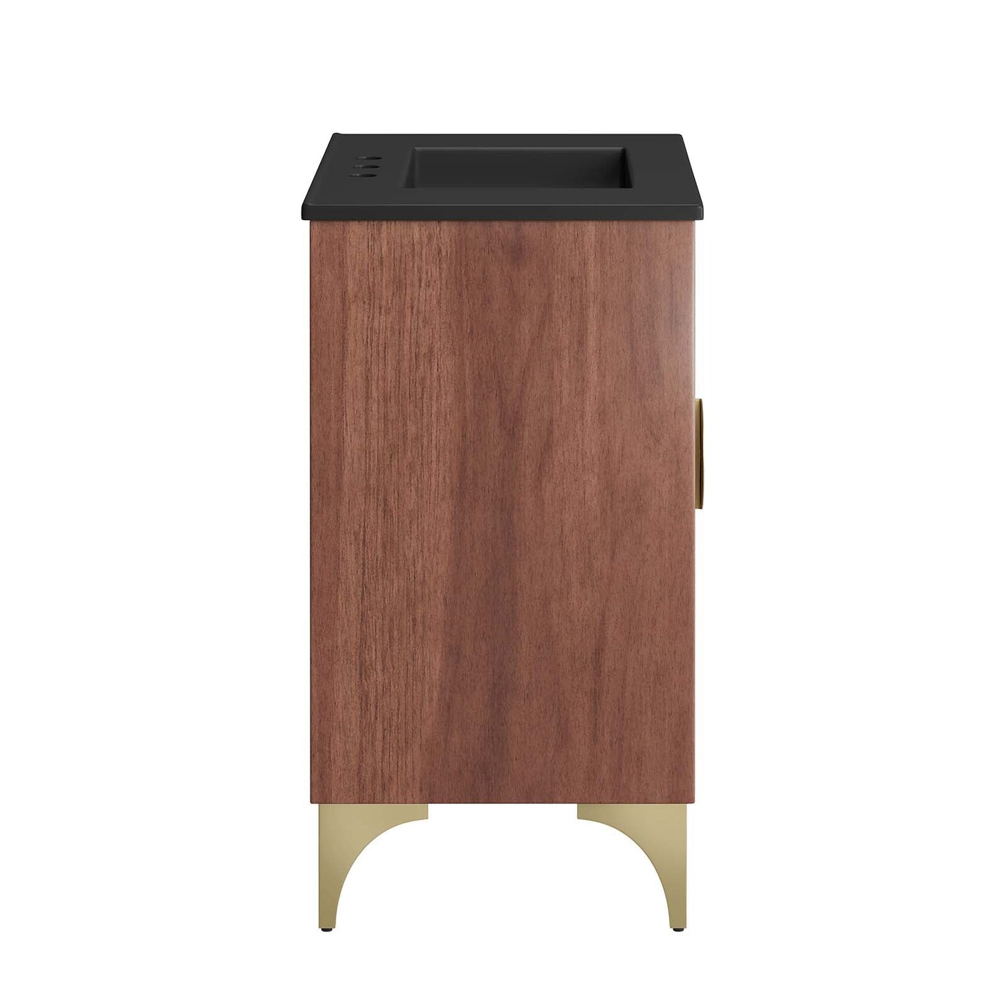 Daylight 30" Bathroom Vanity Black Walnut EEI-6296-BLK-WAL